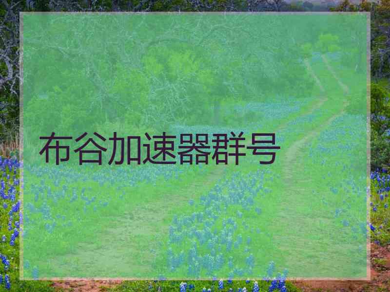 布谷加速器群号