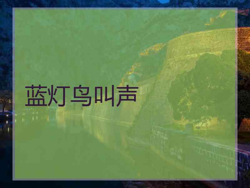 蓝灯鸟叫声