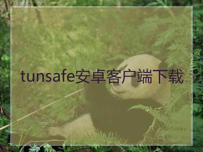 tunsafe安卓客户端下载