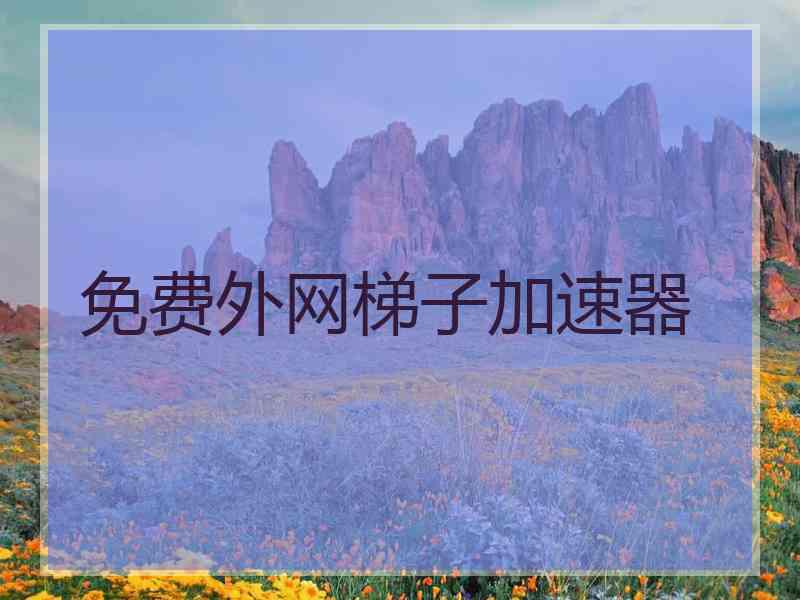 免费外网梯子加速器
