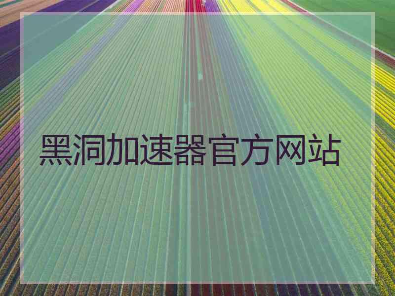 黑洞加速器官方网站