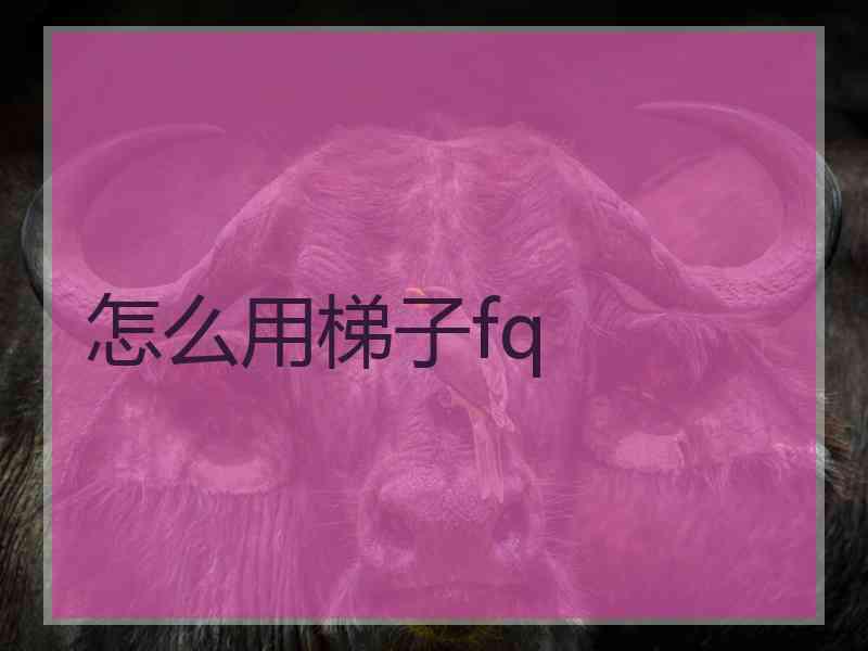 怎么用梯子fq