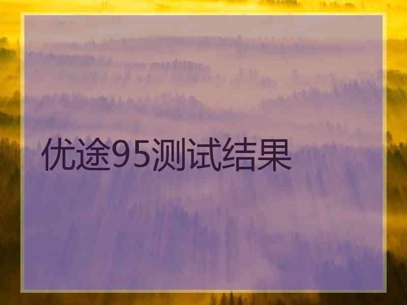 优途95测试结果
