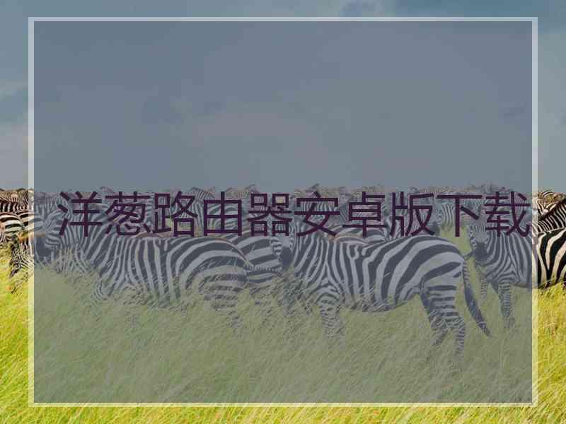 洋葱路由器安卓版下载