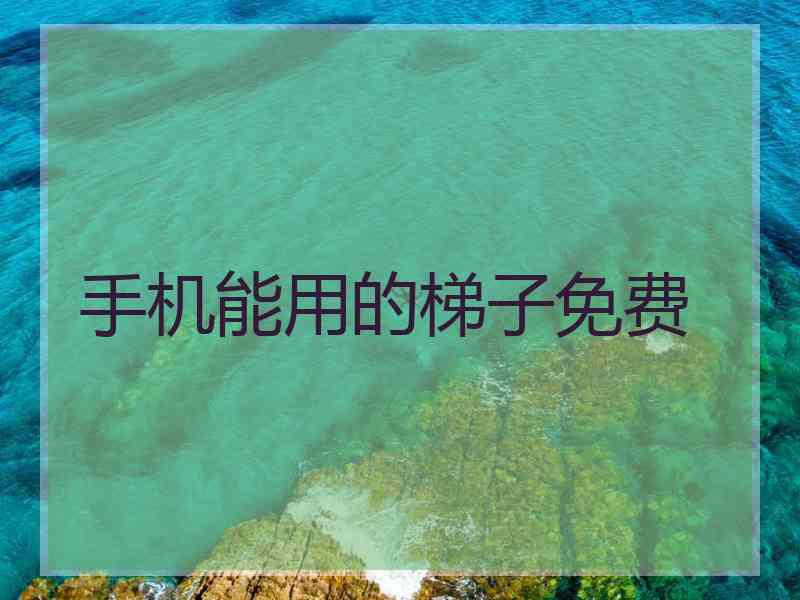 手机能用的梯子免费