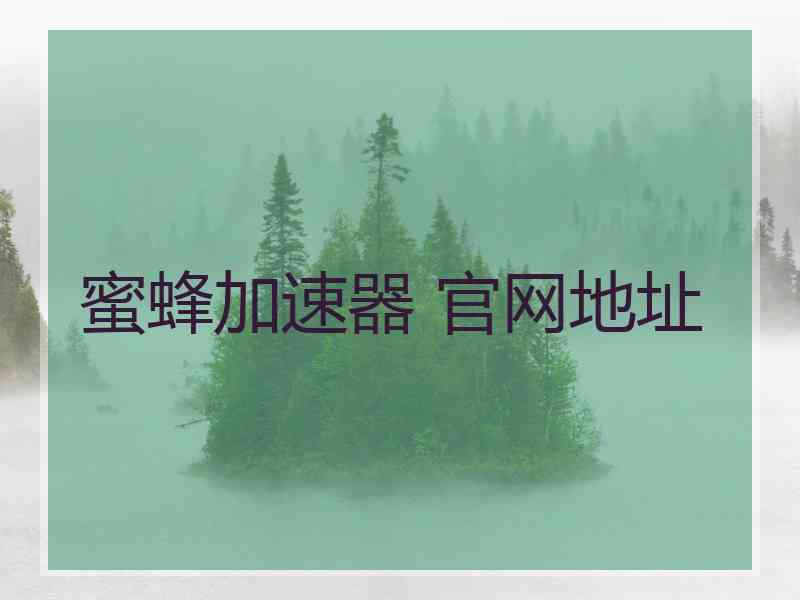 蜜蜂加速器 官网地址