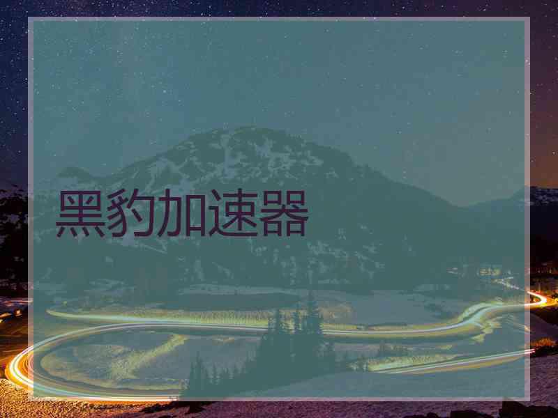黑豹加速器