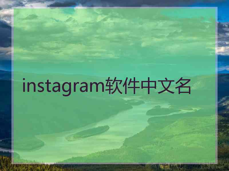 instagram软件中文名
