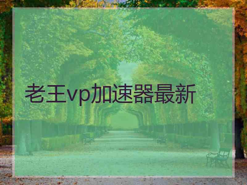 老王vp加速器最新