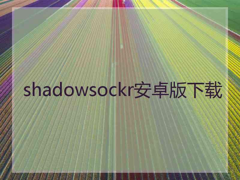 shadowsockr安卓版下载