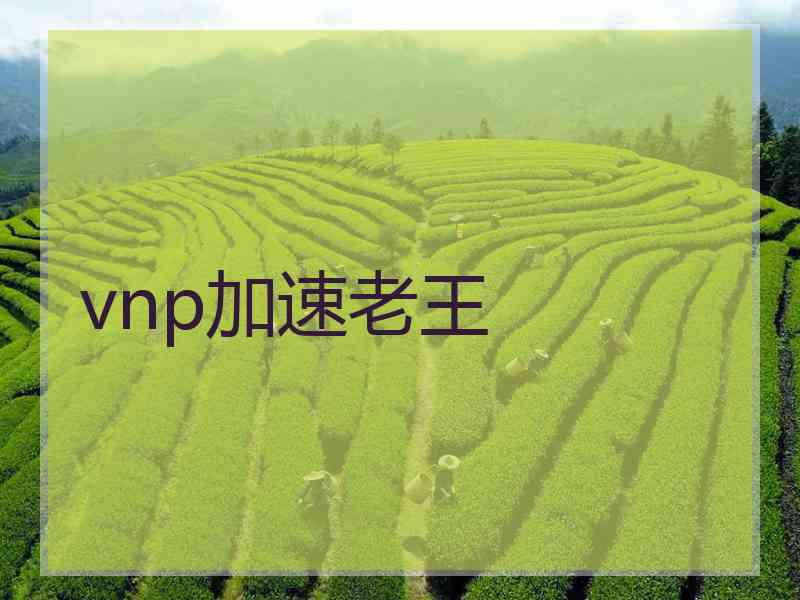 vnp加速老王