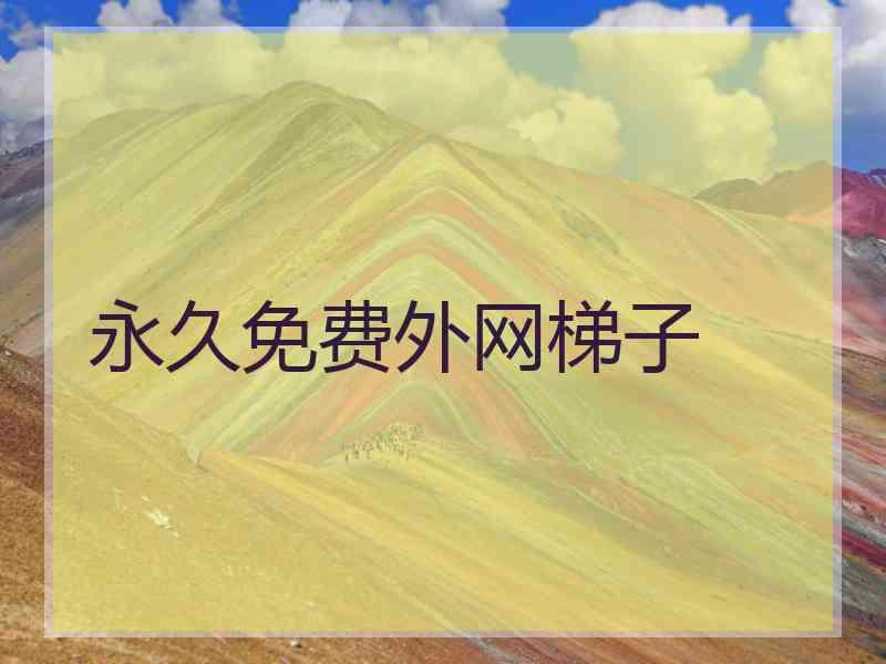 永久免费外网梯子
