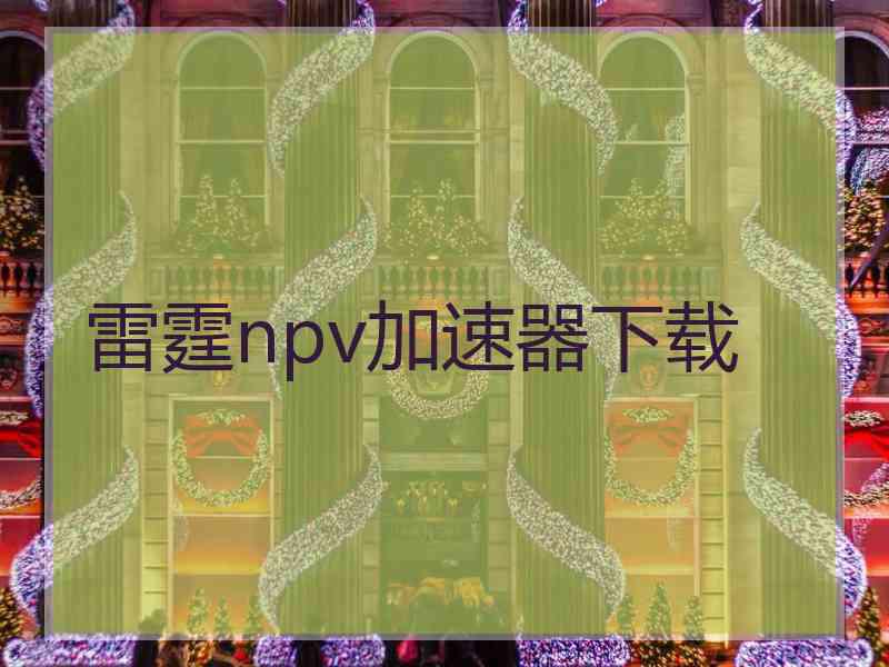 雷霆npv加速器下载