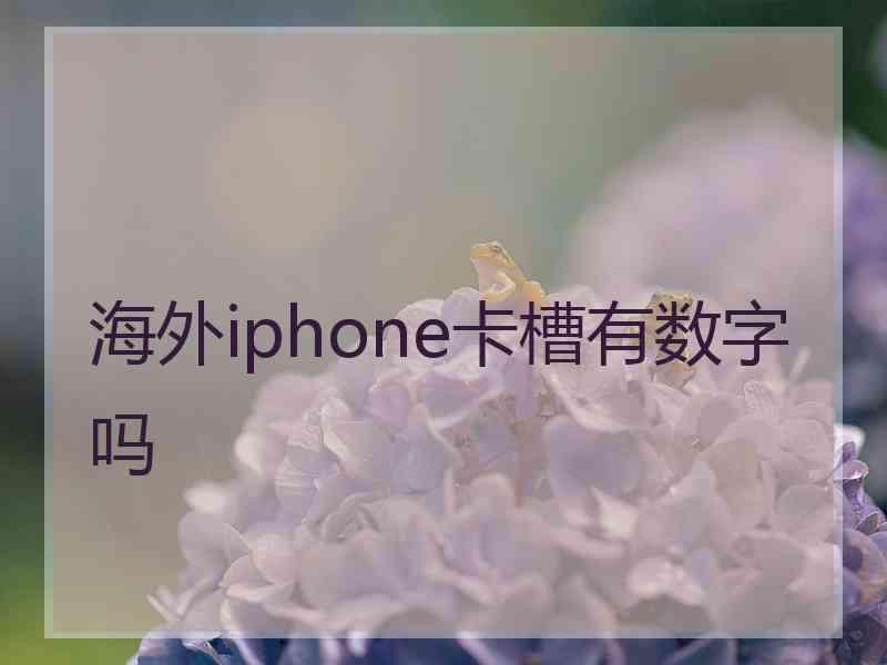 海外iphone卡槽有数字吗