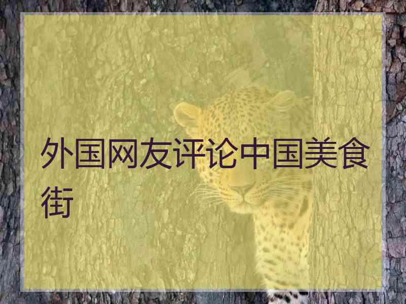 外国网友评论中国美食街